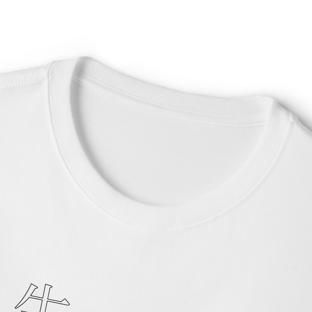 Unisex Oversized Boxy Tee